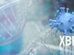 Covid : rebond épidémique à cause d’un nouveau variant