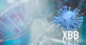 Covid : rebond épidémique à cause d’un nouveau variant
