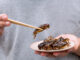 Nutrition : La France se prépare à manger des insectes