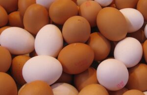 Peut-on consommer les œufs après leur date de péremption ?