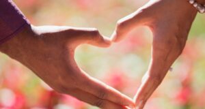 La forme de votre cœur prédit le risque de maladies cardiaques