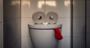 Pourquoi mettre du papier toilette sur la lunette des WC est une très mauvaise idée ?