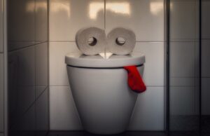 Pourquoi mettre du papier toilette sur la lunette des WC est une très mauvaise idée ?