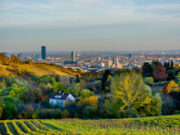L’espérance de vie est-elle plus élevée à la ville ou à la campagne ?