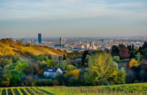 L’espérance de vie est-elle plus élevée à la ville ou à la campagne ?