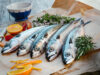 Poissons gras ou poissons maigres : quelles sont les différences ?