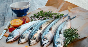 Poissons gras ou poissons maigres : quelles sont les différences ?