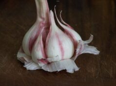 8 aliments anti-cancer