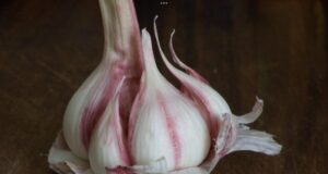 8 aliments anti-cancer