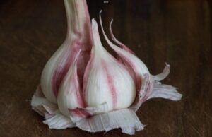 8 aliments anti-cancer