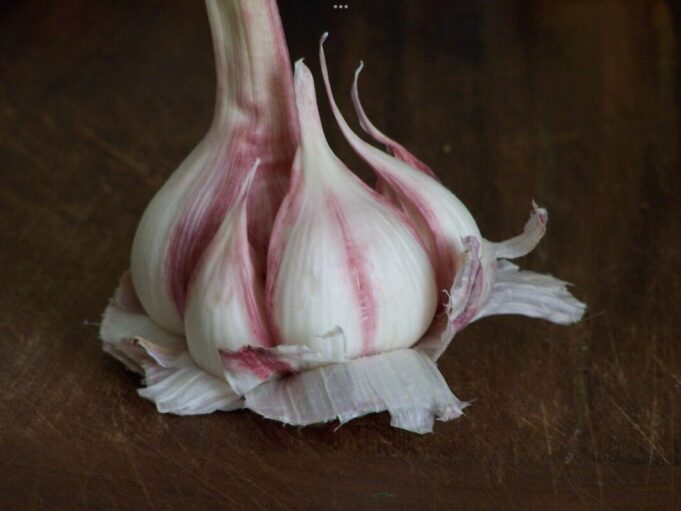 8 aliments anti-cancer