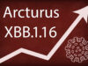 Covid-19 : le nouveau variant Arcturus détecté en France