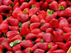 Comment les fraises peuvent améliorer votre santé