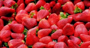 Comment les fraises peuvent améliorer votre santé