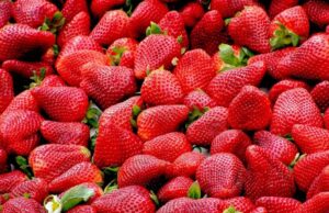 Comment les fraises peuvent améliorer votre santé
