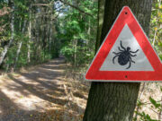 Pourquoi faut-il se protéger contre les tiques ?