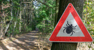 Pourquoi faut-il se protéger contre les tiques ?