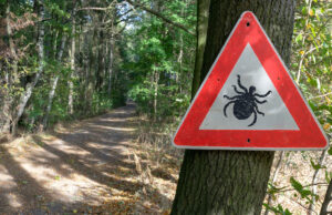 Pourquoi faut-il se protéger contre les tiques ?
