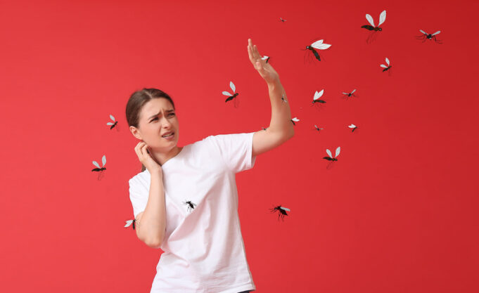 Moustique tigre : Quels sont les risques d’attraper une maladie tropicale?