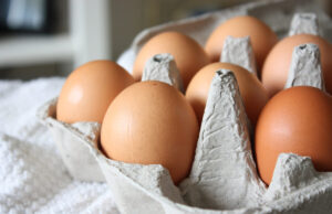 Des œufs génétiquement modifiés pour réduire les allergies alimentaires