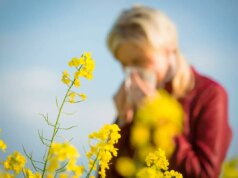 Le pollen de retour : alerte rouge sur toute la France