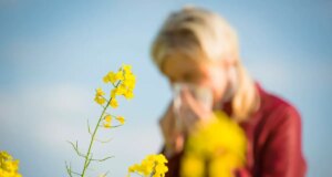 Le pollen de retour : alerte rouge sur toute la France