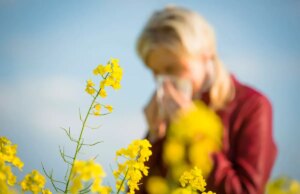 Le pollen de retour : alerte rouge sur toute la France