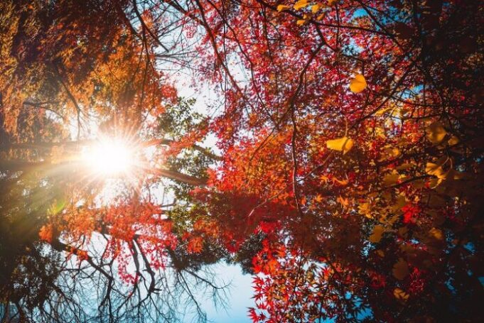 Fortes chaleurs : 5 astuces pour garder votre logement au frais