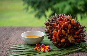 L’huile de palme : les méfaits que vous ignorez sur votre santé