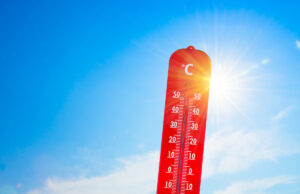 Fortes chaleurs : 5 astuces simples à mettre en place pour diminuer la température de votre logement