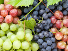 Les bienfaits du raisin