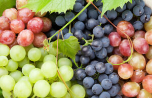 Les bienfaits du raisin