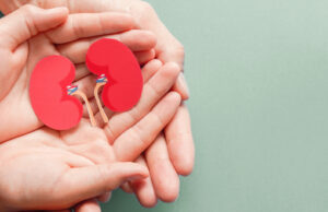 Les pires aliments pour vos reins