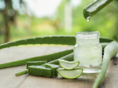 L’Aloe Vera : les multiples bienfaits de cette plante médicinale