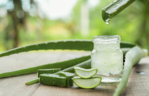 L’Aloe Vera : les multiples bienfaits de cette plante médicinale