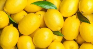 Découvrez 10 merveilleuses propriétés cachées sur le citron