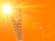 Fortes chaleurs : 60.000 décès en 2022 selon les experts