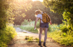 Moustique-tigre : augmentation exceptionnelle des cas de dengue