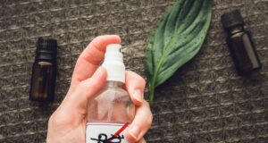 Le top 5 des huiles essentielles anti-moustiques