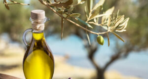Huile d’olive : elle pourrait réduire de 28 % le risque de démence selon une étude