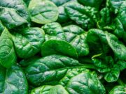 Les bienfaits des épinards