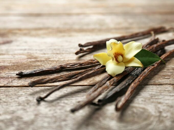 Les bienfaits de la vanille