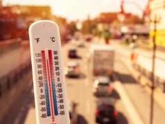 Chaleur et canicule : quelles températures maximales notre corps peut-il supporter ?