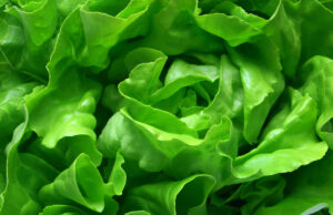 Est-il vraiment bon pour la santé de manger de la salade tous les jours ?