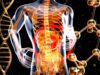 Microbiote intestinal : faire la grasse matinée nuit à vos intestins