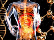 Microbiote intestinal : faire la grasse matinée nuit à vos intestins