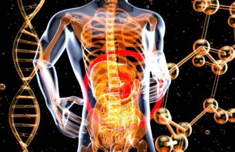 Microbiote intestinal : faire la grasse matinée nuit à vos intestins