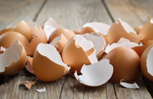 Coquilles d’œufs : Découvrez 5 réutilisations pleines de bienfaits que vous pouvez faire avec !