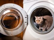 Quelles sont ces choses qu’il ne faut jamais mettre à la machine ?