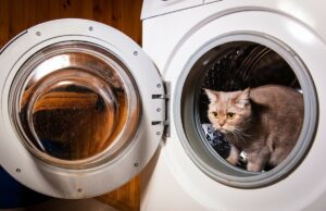 Quelles sont ces choses qu’il ne faut jamais mettre à la machine ?